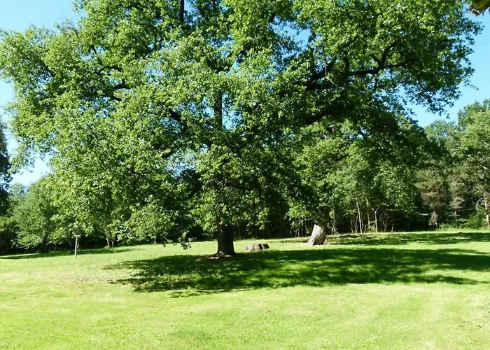 Gîte en Brenne Les Chênes